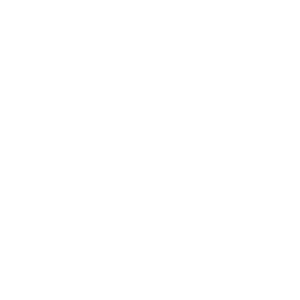 Integrated Rural Development Program - Government programme