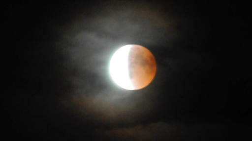 Intellego Stockholm AB - 