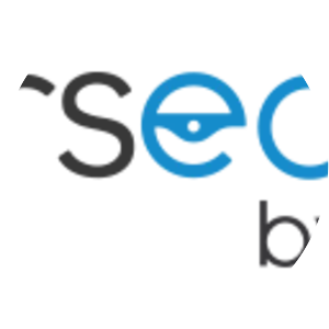 Interactive Solutions, Inc.