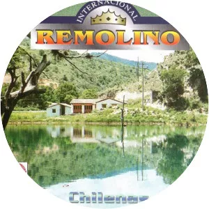 Internacional Remolino