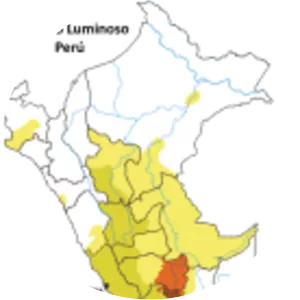 Internal conflict in Peru