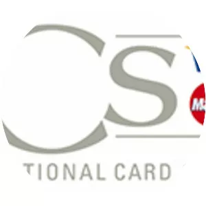 International Card Services B. V. - Company