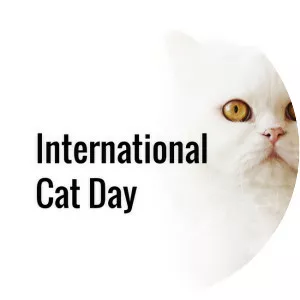 International Cat Day