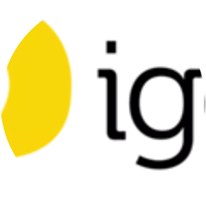 International Game Developers . . .