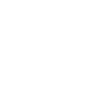 International Hip Dysplasia Institute