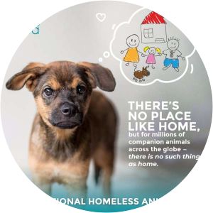 International Homeless Animals’ Day