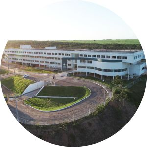 International Institute for Neuroscience of Natal