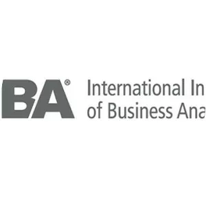 International Institute of Business Analysis - Non-profit