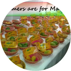 International Mango Festival - 