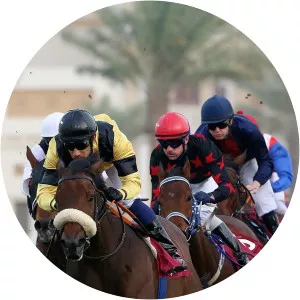 International Racing Television show - TV program