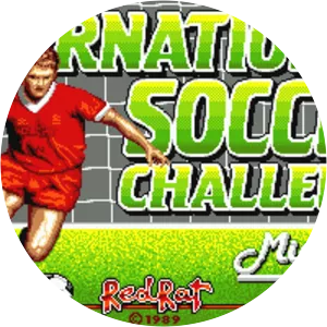 International Soccer Challenge - Video game