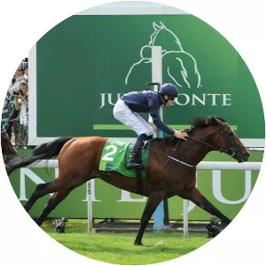 International Stakes - 