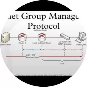 Internet Group Management Protocol - 