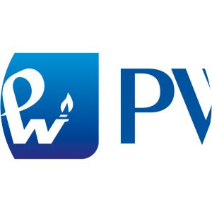 Internetowa encyklopedia PWN