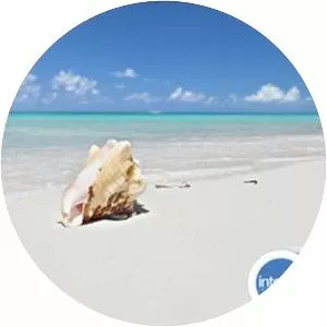 Interval Leisure Group