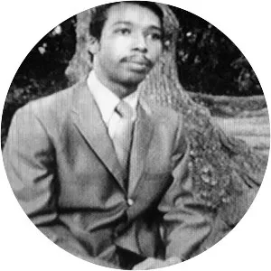 Interviews with My Lai Veterans