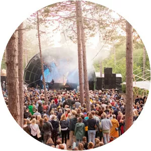 Into The Great Wide Open - Music Festival