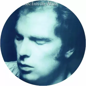 Into the Music - Studio album by Van Morrison