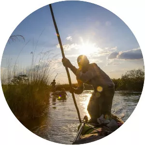 Into the Okavango