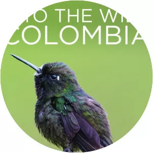 Into the Wild Colombia - TV program