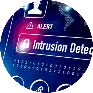 Intrusion detection system - Software type