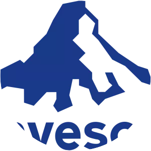 Invesco Capital Management