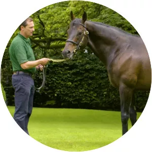 Invincible Spirit - Horse