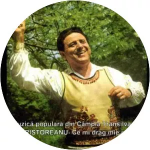 Ion Cristoreanu - Musical artist