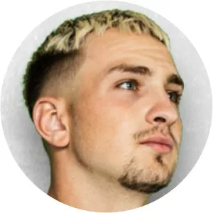 Ionuț Aurelian Ilieș