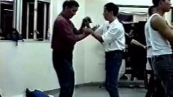 Ip Ching - Chinese martial artist