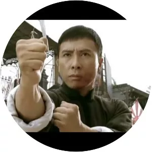 Ip Man: The Final Fight