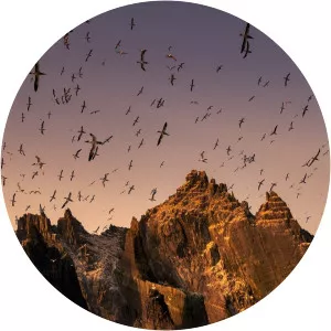 Ireland's Wild CoastSince 2017