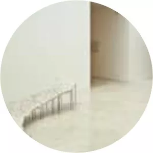 Irene Kopelman - Artist