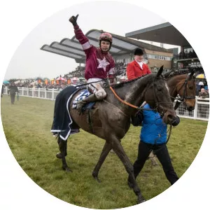 Irish Grand National - 