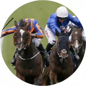 Irish Guineas Festival Review - TV program