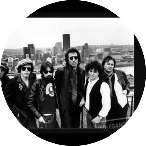 Iron City Houserockers