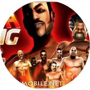 Iron Fist Boxing - Video game