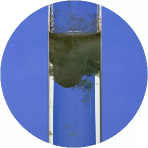 Iron(II) hydroxide - Chemical compound