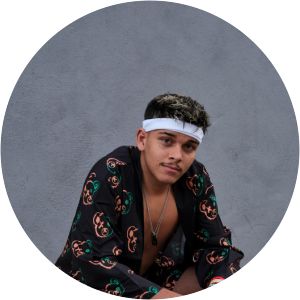 Irrita El Indio - Musical artist