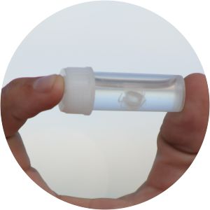 Irukanji - Musical artist