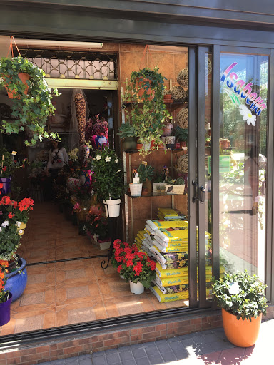Isabella Flowers - Florist in Torrejon de Ardoz, Spain