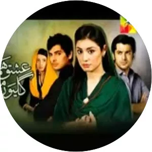 Ishq Hamari Galiyon Mein