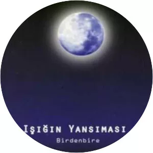 Işığın Yansıması