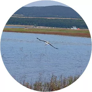 Iskar Reservoir - Reservoir in Bulgaria
