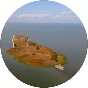 Isla Bisericuța (Insula Bisericuța)