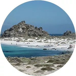 Isla Damas - Island in Chile