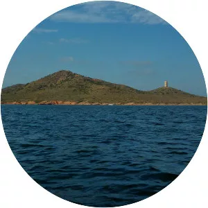 Isla del Barón