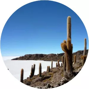 Isla Incahuasi - Island in Bolivia