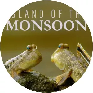 Island of the Monsoon - TV program