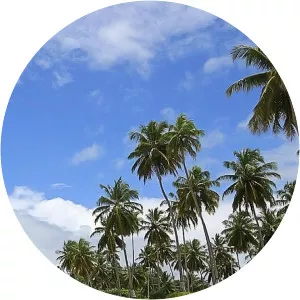 Island StoriesSince 2015